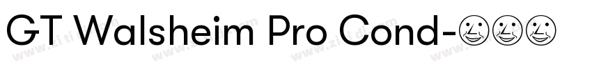 GT Walsheim Pro Cond字体转换